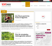 Est Agricole et Viticole - Paysan du Haut-Rhin Est Agricole et Viticole - Paysan du Haut-Rhin